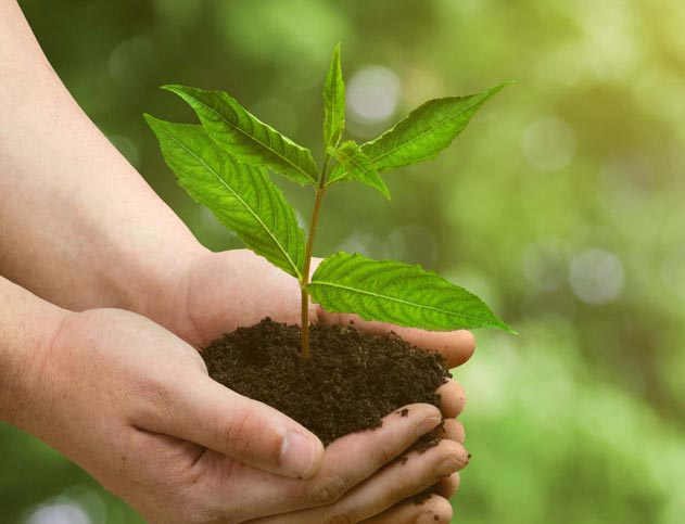 ISO 14001 Environmental Management
