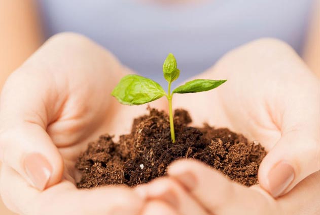 ISO 14001 Environmental Management System