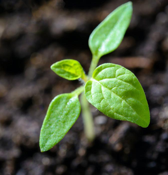 ISO 14001 Environmental Management System