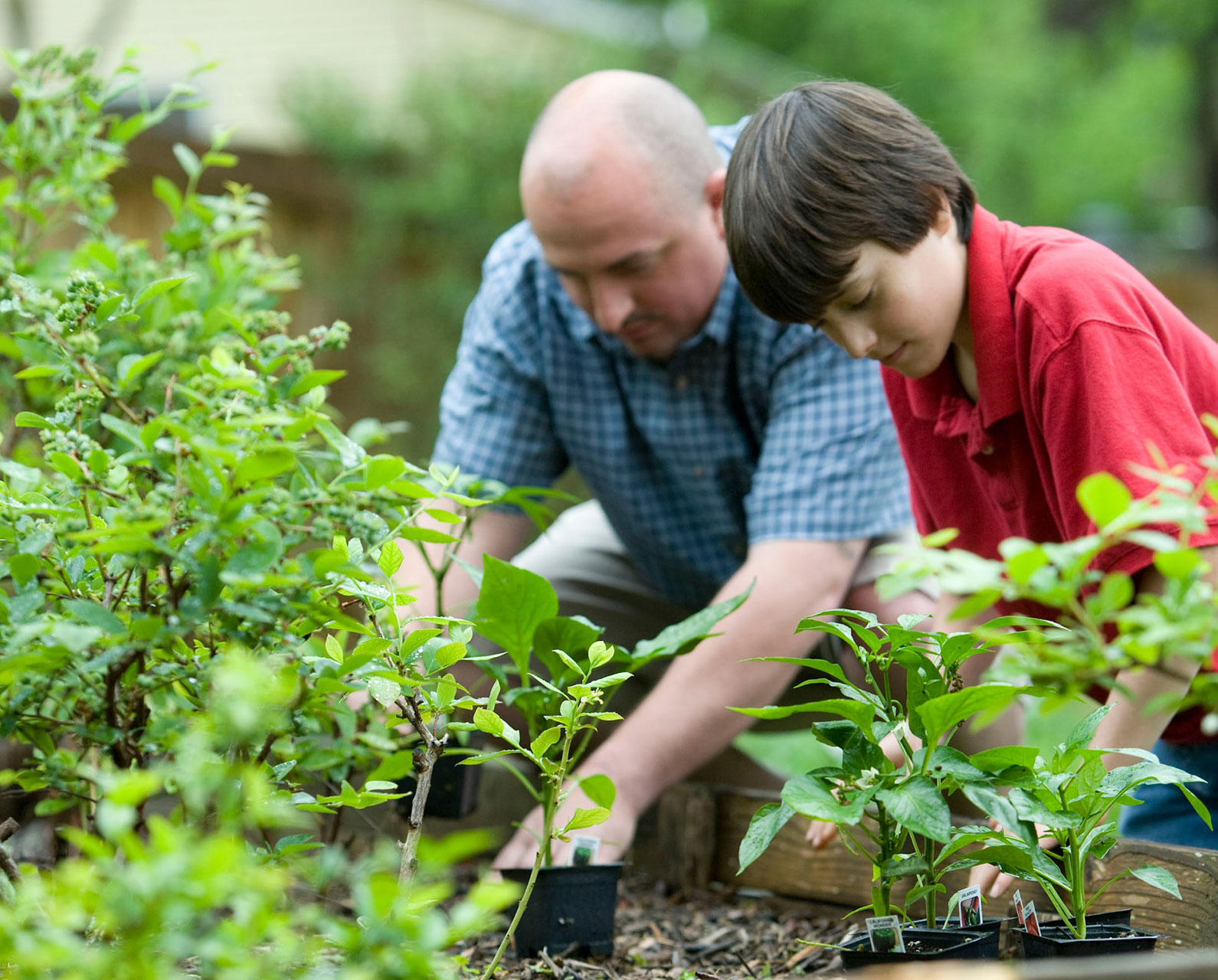 Environmental Management Systems