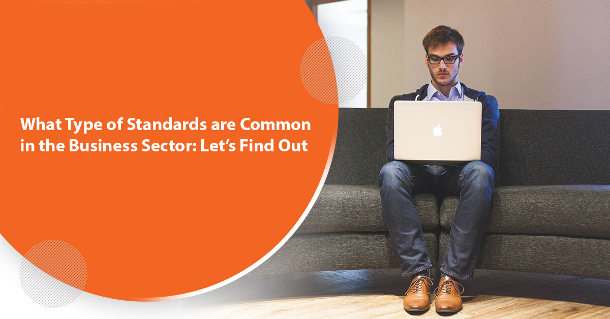 What Type of Standards are Common in the Business Sector Let’s Find Out