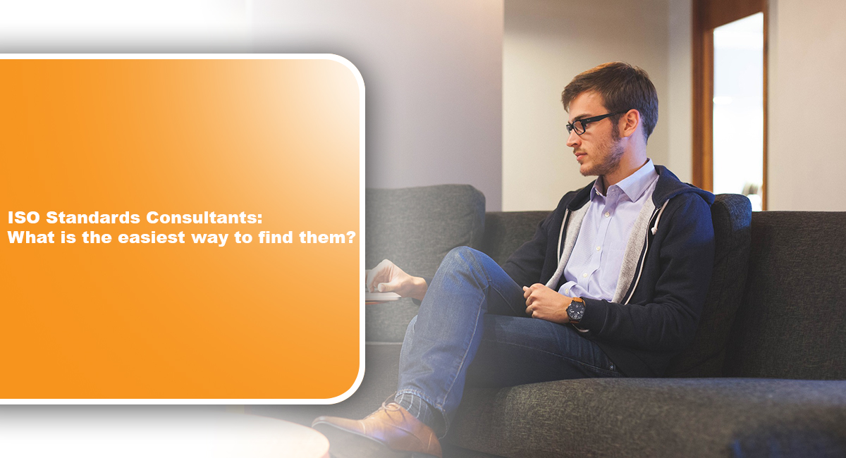 ISO standards consultants