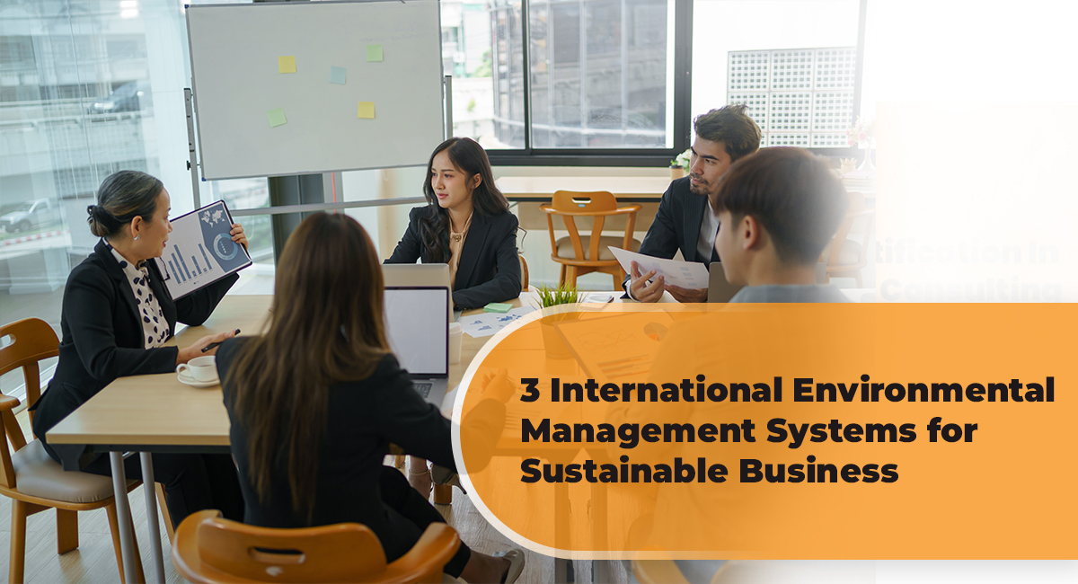 3 International Environmental Management Systems for Sustainable Business