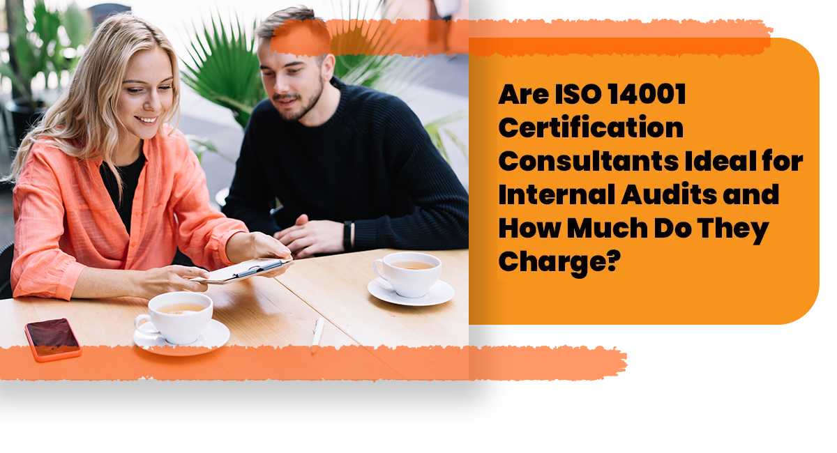 Are ISO 14001 Certification Consultants Ideal for Internal Audits and How Much Do They Charge