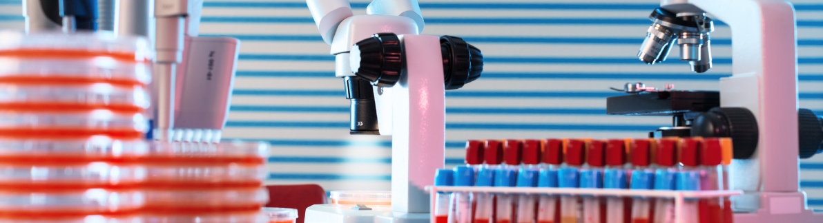 ISO 13485 F 1p EN Partner