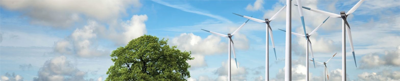 ISO 14001 Foundation